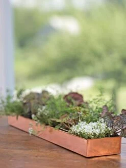 Rectangular Copper Plant Tray, 24" X 5" -Garden Care Shop 8593533 4626 tif