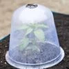 Large Garden Cloches, Set Of 3 -Garden Care Shop 8593984 345 tif