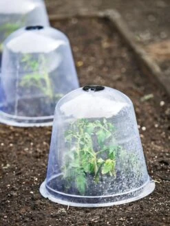 Large Garden Cloches, Set Of 3 -Garden Care Shop 8593984 9432 tif