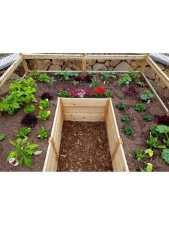 Garden In A Box With Deer Fence, 8' X 12' 12 Garden In A Box With Deer Fence, 8' X 12' -Garden Care Shop 8594021 04V 3 4