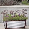 Short Galvanized Self-Watering Trough Planter -Garden Care Shop 8594329 5064 tif