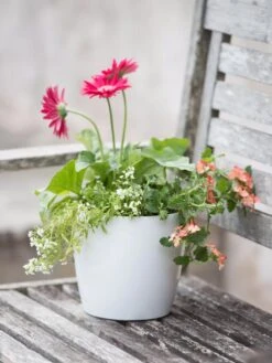 Viva Round Self-Watering Planter, 7" Diameter -Garden Care Shop 8595222 1139 tif