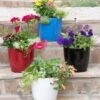 Viva Round Self-Watering Planter, 7" Diameter -Garden Care Shop 8595222 5302 tif