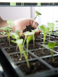 LED Stack-n-Grow Lights - Base Unit -Garden Care Shop 8595770 7373 tif