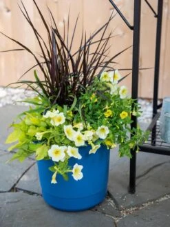 Eezy Gro Self-Watering Planters -Garden Care Shop 8596427 0035 tif