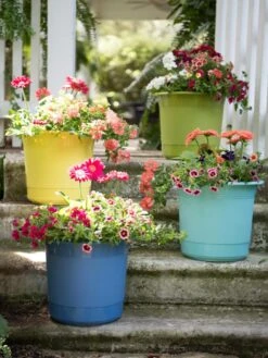 Eezy Gro Self-Watering Planters -Garden Care Shop 8596427 8090 tif