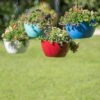 Viva Self-Watering Hanging Basket, 14" Diameter -Garden Care Shop 8596442 0851 tif