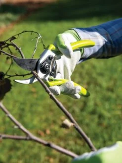 Gardener's Pro Pruner #2 9 Gardener's Pro Pruner #2 -Garden Care Shop 8596605 032 tif