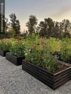 Gardener’s Exterior Wood Stain, 1 Quart -Garden Care Shop 8596700 02IN