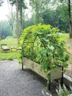 Eco-Stained Elevated Planter Box, 2'x8' -Garden Care Shop 8596760 0046 tif