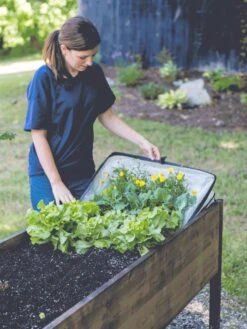 Pop-Up Crop Protector -Garden Care Shop 8596763 EasyCropProtector gif