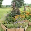 Pollinator Garden Bed -Garden Care Shop 8597000 4103 tif