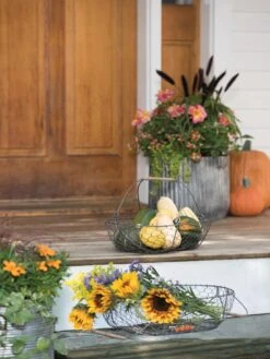 Galvanized Rim Planters -Garden Care Shop 8597379 1625 tif