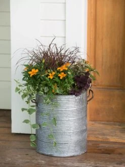 Galvanized Rim Planters -Garden Care Shop 8597443 1708 tif