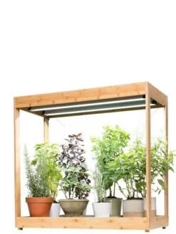 Medium Bamboo LED Grow Light Garden -Garden Care Shop 8597883 1011 tif