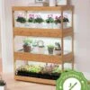 Bamboo LED Grow Light Garden For Succulents And Seeds -Garden Care Shop 8598084 6i