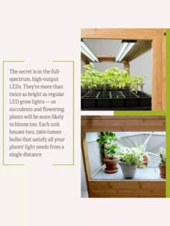 Bamboo LED Grow Light Garden For Succulents And Seeds -Garden Care Shop 8598084 7