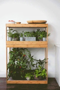 Bamboo Home LED Grow Light Garden 18 Bamboo Home LED Grow Light Garden -Garden Care Shop 8598088 BambooLEDHomeGarden light gif