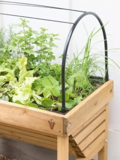 VegTrug® Mini Wallhugger Planter With Cover -Garden Care Shop 8598339 4004 tif