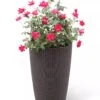 Weave Self-Watering Round Tall Planter, 12-1/2" -Garden Care Shop 8598371 3000 tif