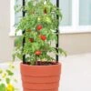 Gardener’s Victory Self-Watering Planter With Support System -Garden Care Shop 8598384 6012 tif