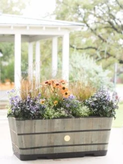 VegTrug™ Trough Planters 16 VegTrug™ Trough Planters -Garden Care Shop 8598402 08880 tif