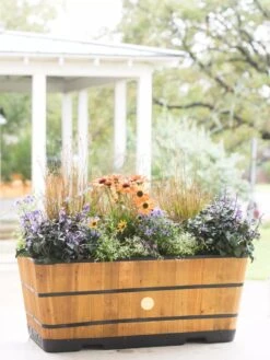 VegTrug™ Trough Planters 14 VegTrug™ Trough Planters -Garden Care Shop 8598402 8880 tif