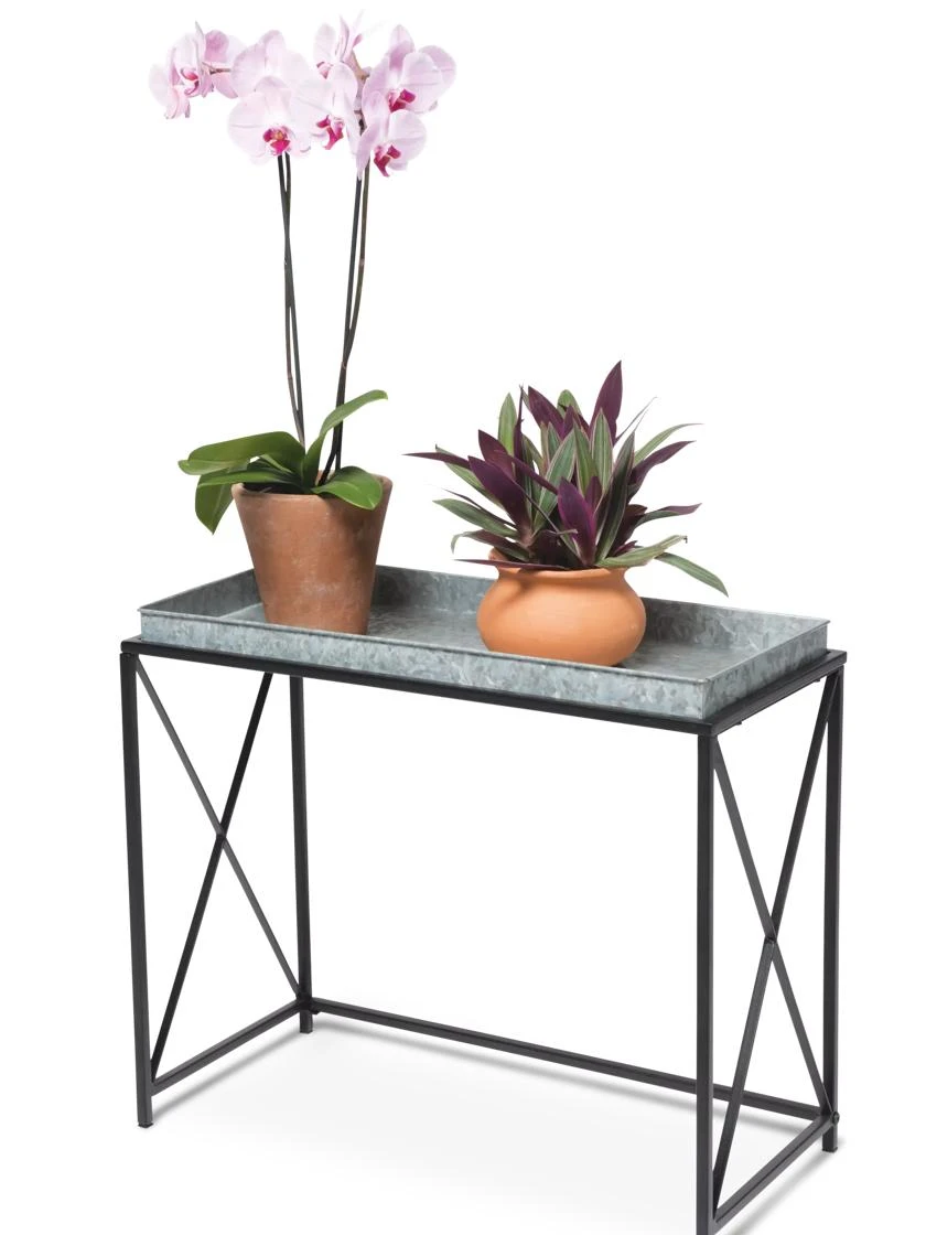 Plant Stand With Galvanized Tray 4 Plant Stand With Galvanized Tray - Image 2