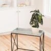 Plant Stand With Galvanized Tray -Garden Care Shop 8599022 14588 tif