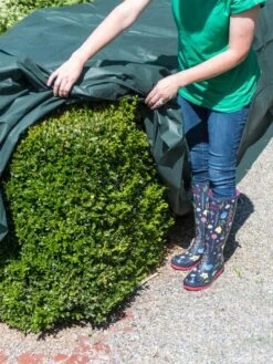 The Planket® Frost Protection Plant Cover, 10' X 20' 9 The Planket® Frost Protection Plant Cover, 10' X 20' -Garden Care Shop 8599101 0929 tif