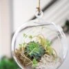 Floating Orb Terrarium Kit -Garden Care Shop 8599146 02v floating orb glass terrarium kit