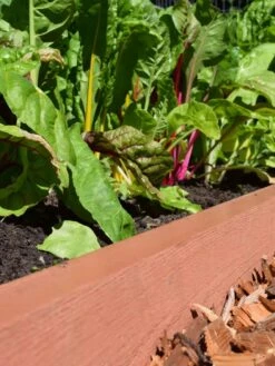 Straight Landscape Edging Kit With 2" Boards 8 Straight Landscape Edging Kit With 2" Boards -Garden Care Shop 8599408 02V tif