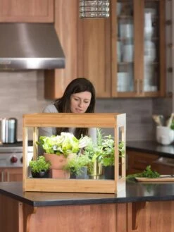 Bamboo Mini LED Grow Light Garden -Garden Care Shop 8599624 12532 tif