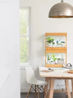 Bamboo Mini LED Grow Light Garden -Garden Care Shop 8599624 13244 tif