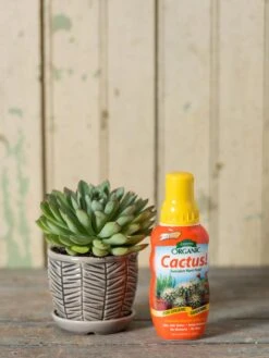 Espoma Cactus! Plant Food -Garden Care Shop 8599778 18451 tif