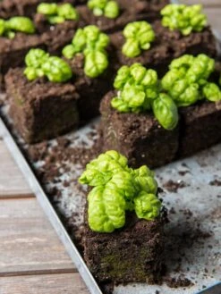 Soil Blocker, 4 Cell -Garden Care Shop 8599790 1057 tif