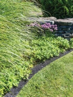 Recycled Rubber Mulch Edging, 12’ X 6” -Garden Care Shop 8599854 0897 tif