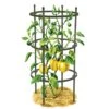 Titan Pepper Eggplant Cages, Set Of 3 -Garden Care Shop 8599859 0001 art tif