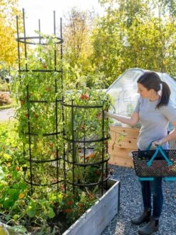 Titan Tomato Cages, Set Of 3 11 Titan Tomato Cages, Set Of 3 -Garden Care Shop 8599861 0114 tif