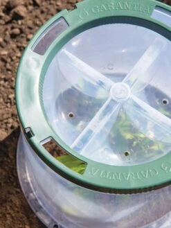 Sunny Forcing Cloches, Set Of 3 -Garden Care Shop 8600075 0742 tif