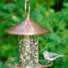 Classic Perch Bird Feeder With Copper Finish -Garden Care Shop 8600195 01v classic perch bird feeder with copper finish