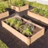 Copper Cap Raised Beds -Garden Care Shop 8600497 0526 tif
