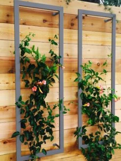 Ina Modern Wall Trellis Sr. -Garden Care Shop 8600510 08V jpg