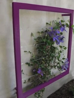 Ina Modern Wall Trellis Jr. -Garden Care Shop 8600512 01V tif