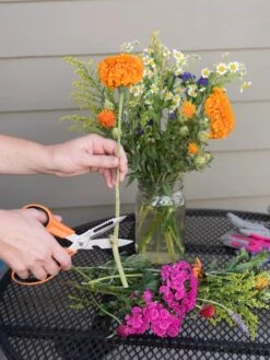 Gardener's Multi Purpose Scissors -Garden Care Shop 8608655 19555 tif