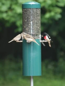 Birds Choiceâ„¢ Feeder With Squirrel Baffle & Pole