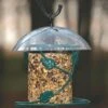 Birds Choice Hanging Seed Cylinder Bird Feeder -Garden Care Shop 8608763 01v birds choice hanging seed cylinder bird feeder