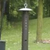 Birds Choice Bear-Proof Feeder -Garden Care Shop 8608764 01v birds choice bear proof metal bird feeder