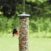 Birds Choice Magnet Mesh Peanut Feeder -Garden Care Shop 8608775 01v birds choice magnet mesh peanut feeder