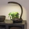 Agrobrite Desktop LED Plant Lamp -Garden Care Shop 8608871 0345 tif
